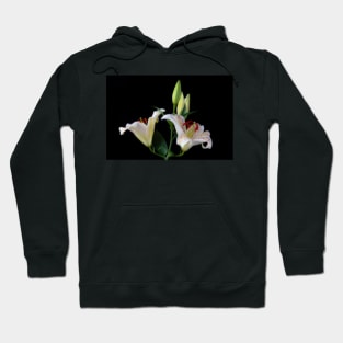 Sonata Lilies Still life Hoodie